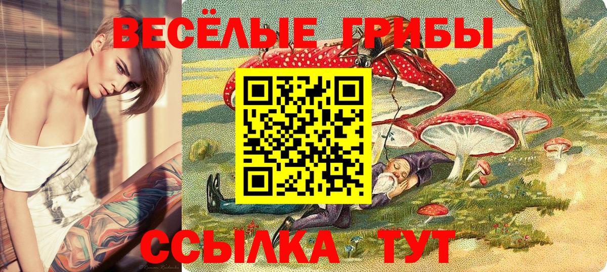 Галлюциногенные грибы Psilocybe Видное